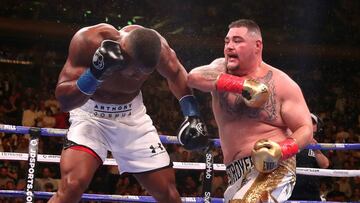 Tras la revancha entre Andy Ruiz y Anthony Joshua, las cr&iacute;ticas al mexicano no ha dejado de lloverle, y el campe&oacute;n Deontay Wilder hizo lo propio.