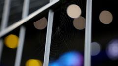 El día en que España se jugó el pase a un Mundial con Siria