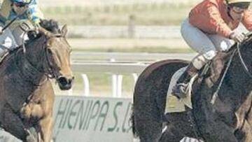 <b>ÚLTIMOS VENCEDORES. </b>En la quinta carrera se alzó con el triunfo Scliar, montado por Martínez.