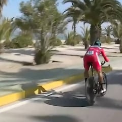 La ira con reflejos de Sagan: ¿esquivará a la señora y su perro?