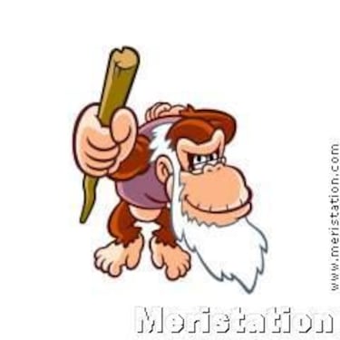 Donkey Kong: King of Swing, Impresiones