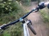 Un reno se lleva por delante a un ciclista y le deja inconsciente