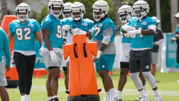 Miami Dolphins during training camp at Baptist Health Training Complex.