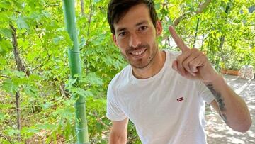David Silva en 'Bodegas Tamer¨¢n'. Instagram: @polanerselections
