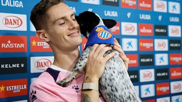 Pol Lozano
Perro Mango
Animales
Un perico nunca abandona