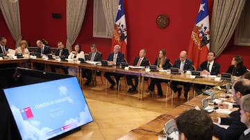 Conocido actor chileno se suma al gobierno del Presidente Kast: anuncio oficial