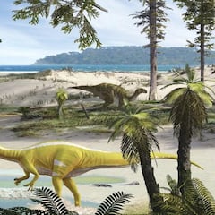 Descubren en Castellón los restos de un dinosaurio hasta ahora desconocido