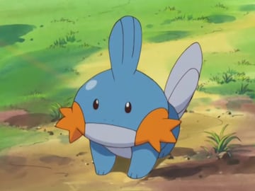 Mudkip