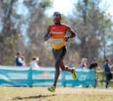 Resumen y resultados del Mundial de cross de Tallahassee en directo: los mejores del mundo han peleado por los títulos en EE UU; hoy, sábado 10 de enero, en AS.