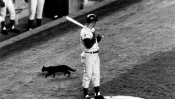 ¿La cabra 'Billy? ¿Steve Bartman? No olvidemos al 'gato negro'