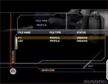 UEFA Euro 2004, Impresiones (PC)