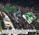Los lamentables cánticos de los ultras del Betis: "Esta noche se muere Caparrós"