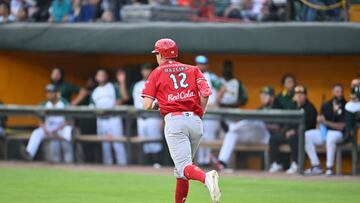 Resultados Playoffs LMB 2024: Hoy 10 de agosto