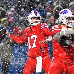 Surrealista: detienen el partido por los lanzamientos de bolas de nieve