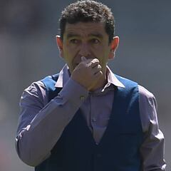 Los Pumas no encuentran el rumbo en casa con Patiño