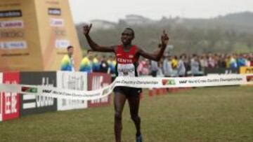 ?frica arrasa en los Mundiales de Cross; Espa?a, duod¨¦cima