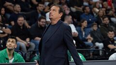 El Panathinaikos se desangra: “No podemos hablar de ganar la Euroliga”