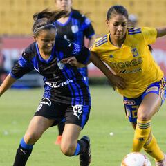 Tigres vs Querétaro (7 - 1): resumen, jugadas y goles