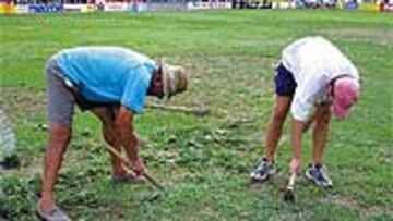 <B>LAMENTABLE</B>. Dos operarios trabajaban ayer en el césped del Martínez Valero, que mostraba una imagen impropia de un campo de Segunda.