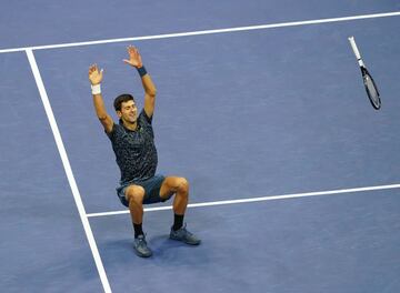 Novak Djokovic ante Juan Martín del Potro.