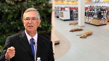 Salinas Pliego “ordena” proteger a perros y gatos de las altas temperaturas en sus negocios: esto fue lo que dijo