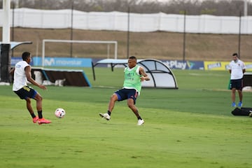 La Selección Colombia continúa trabajando en la sede de la Federación Colombiana de Fútbol en Barranquilla bajo el mando del técnico Reinaldo Rueda. Tras la atención a la prensa, el grupo conformado por jugadores del FPC hizo trabajo en espacio reducido, fútbol y trabajo de arqueros.