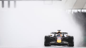 Max Verstappen durante el Gran Premio de Gran Bretaña de Fórmula 1 disputado en el circuito de Silverstone.