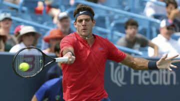 ML02 MASON (ESTADOS UNIDOS) 15/08/2017.- El tenista argentino Juan Martín del Potro se enfrenta al checo Toma Berdych durante su partido de primera ronda del Masters 1000 de Cincinnati en Mason, Ohio (Estados Unidos) hoy, 15 de agosto de 2017. EFE/Mark Ly