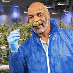 Mike Tyson prepares big career move for after fight with Jake Paul