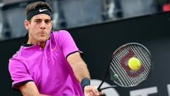 Del Potro remonta y derrota a Dimitrov en Roma