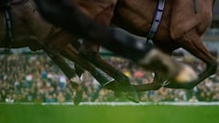 Cuotaza para la victoria de Handstands en Sandown Park - 1 de febrero de 2025