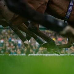 Cuotaza para la victoria de Handstands en Sandown Park - 1 de febrero de 2025