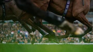 Cuotaza para la victoria de Handstands en Sandown Park - 1 de febrero de 2025