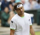 David Ferrer descansará tres semanas tras su lesión