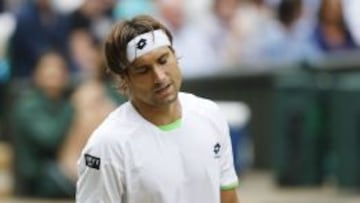 David Ferrer descansar芍 tres semanas tras su lesi車n