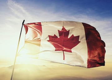 "La hoja de arce", as¨ª se denomina la bandera nacional de Canad¨¢, ya que esta hoja es un s¨ªmbolo de la naturaleza y el entorno presentes en el pa¨ªs. Pero el dise?o de dicha hoja no se ajusta a la realidad ya que en la naturaleza suelen tener entre 13 y 15 puntas. En la bandera ¨²nicamente tiene 11 puntas. Esto es debido al resultado de una pruebas en t¨²neles de viento para elegir el mejor dise?o.