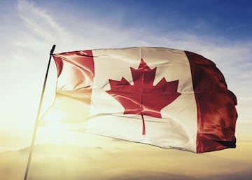 "La hoja de arce", así se denomina la bandera nacional de Canadá, ya que esta hoja es un símbolo de la naturaleza y el entorno presentes en el país. Pero el diseño de dicha hoja no se ajusta a la realidad ya que en la naturaleza suelen tener entre 13 y 15 puntas. En la bandera únicamente tiene 11 puntas. Esto es debido al resultado de una pruebas en túneles de viento para elegir el mejor diseño.