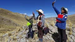 Coronavirus en Perú: resumen y casos del 31 de julio