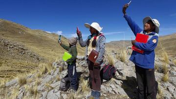 (L-R) Siblings Alvaro, 10, Roxana, 16, and Juan Carlos Cabrera, 13, search for signal on top of a hill in order to attend their virtual classes during the COVID-19 novel coronavirus pandemic, near their house in the remote highland community of Conaviri, district of Manazo, in the Peruvian Andes close to Lake Titicaca and the border with Bolivia, early July 24, 2020. - As schools remain closed due to the pandemic, the Cabrera children participate in the &quot;Learn at Home&quot; educational platform which was implemented by the Peruvian Ministry of Education. (Photo by Carlos MAMANI / AFP)