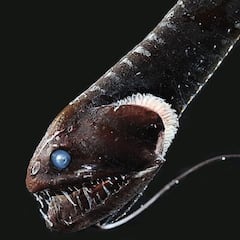 La última frontera para la humanidad en la Tierra