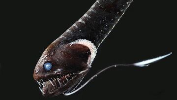 La última frontera para la humanidad en la Tierra