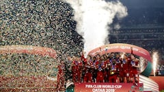 Liverpool frustrated with over zealous FIFA stewards