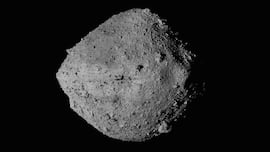 Hallazgo histórico: la NASA encuentra todos los componentes del ARN que podrían cambiar el origen de la vida