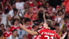 Benfica 2 - Niza 0: resumen, resultado y goles del partido