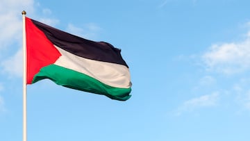 Palestinian flag and sky. Photo taken in the West Bank.
