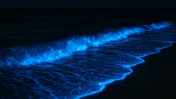 St Kilda Beach near Melbourne becomes a nighttime spectacle as glowing algae create an otherworldly display.