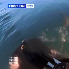 La secuencia en la que un surfista logra escapar de un tiburón en Australia