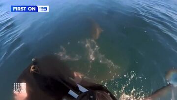 La secuencia en la que un surfista logra escapar de un tiburón en Australia