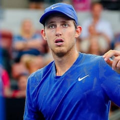 El castigo que recibió una tenista por un caso similar a Jarry