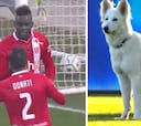 De uno de los goles del año que aprieta la Bundesliga al perro del presidente del Zúrich parando la liga suiza